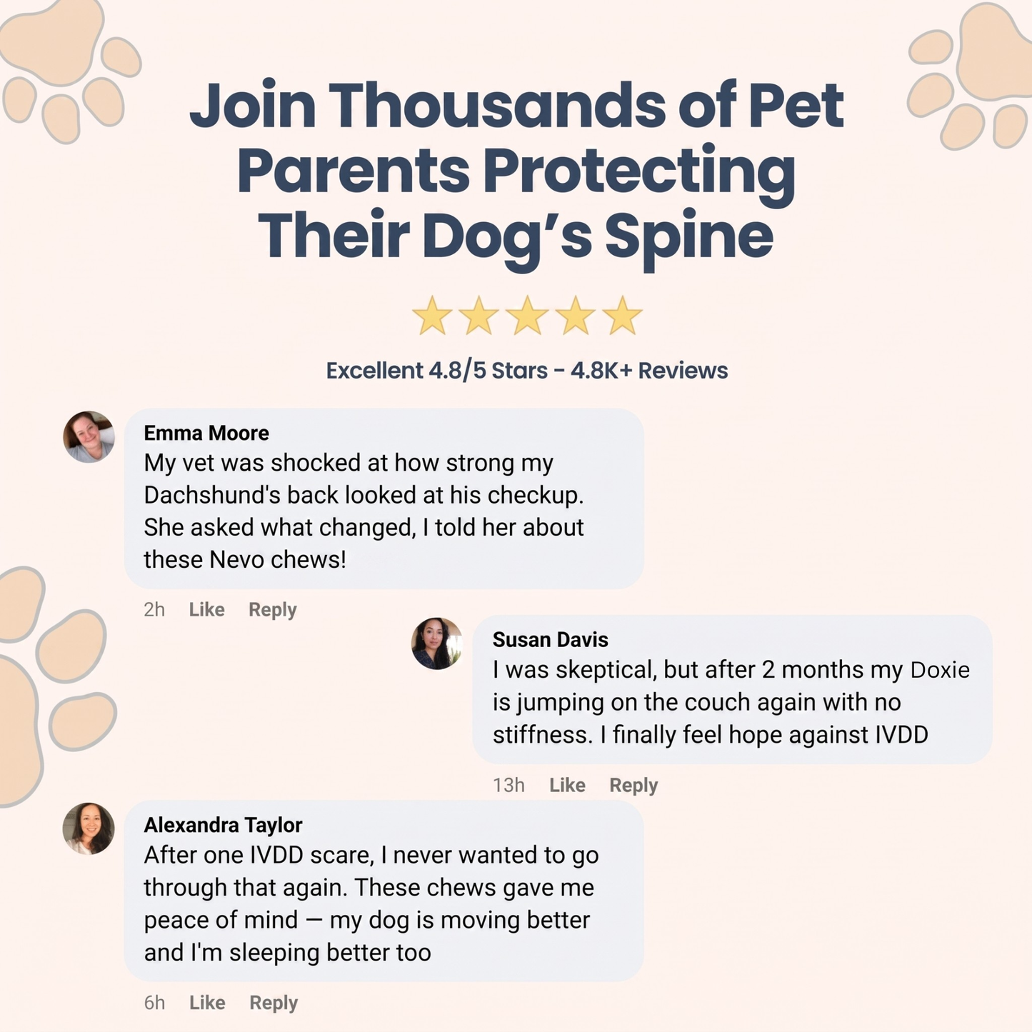 Nevo Spine Support Chews