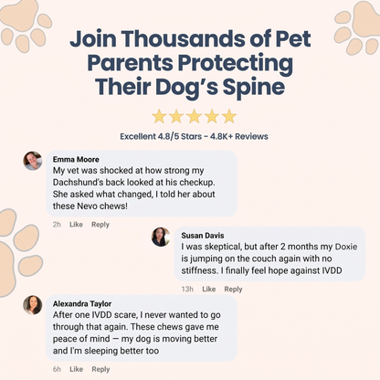 Nevo Spine Support Chews