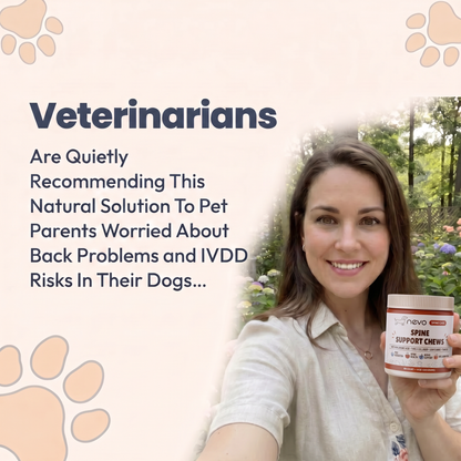 Nevo Spine Support Chews
