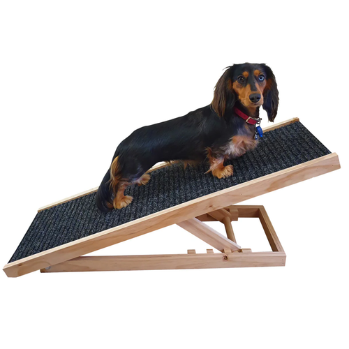 Free Adjustable Dog Ramp