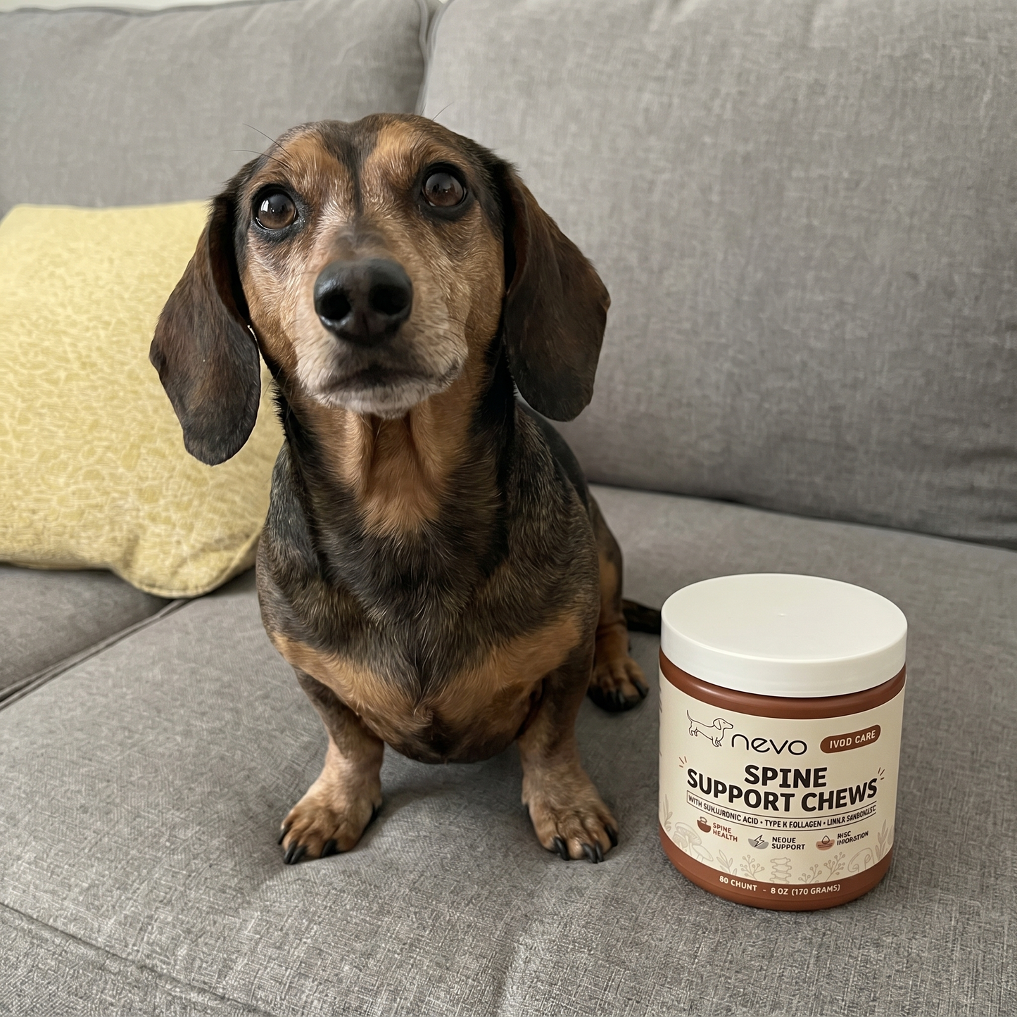 Nevo Spine Support Chews