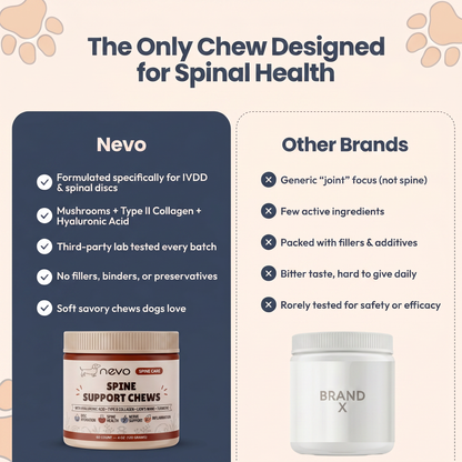 Nevo Spine Support Chews